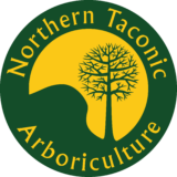 text reads "Northern Taconic Arboriculture" around the silhouettes of a maple tree and Bird Mountain