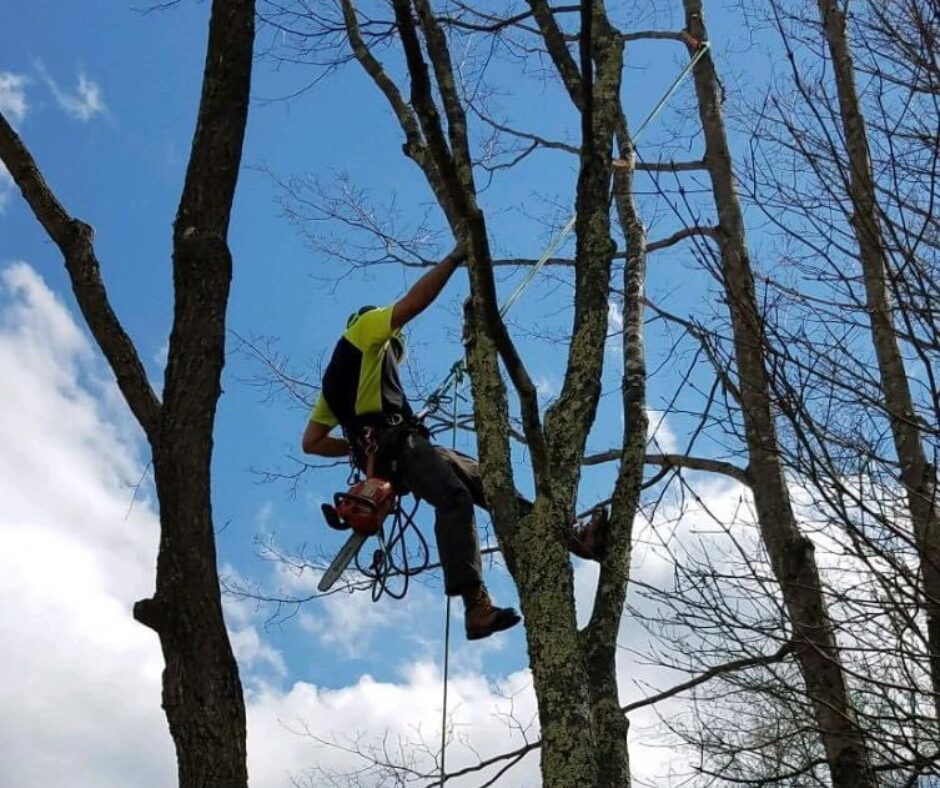 a man in a tree with ropes and a chainsaw